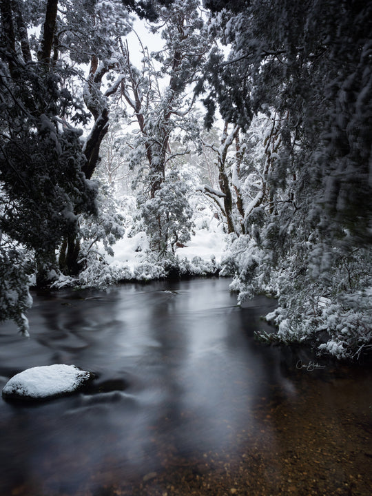 Cradle Mt Winter Photography Workshop - August 10th to 14th - 2026 - 6 Places Available