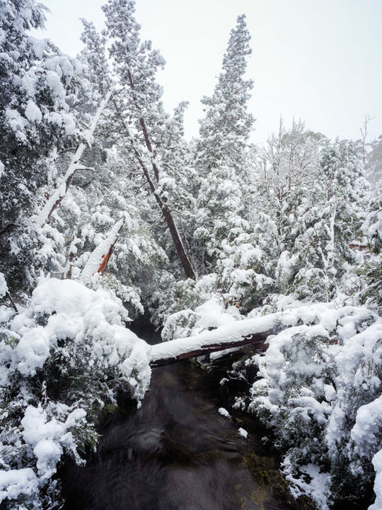 Cradle Mt Winter Photography Workshop - August 10th to 14th - 2026 - 6 Places Available