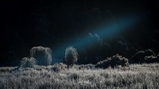 Cradle Mt Winter Photography Workshop - August 10th to 14th - 2026 - 6 Places Available