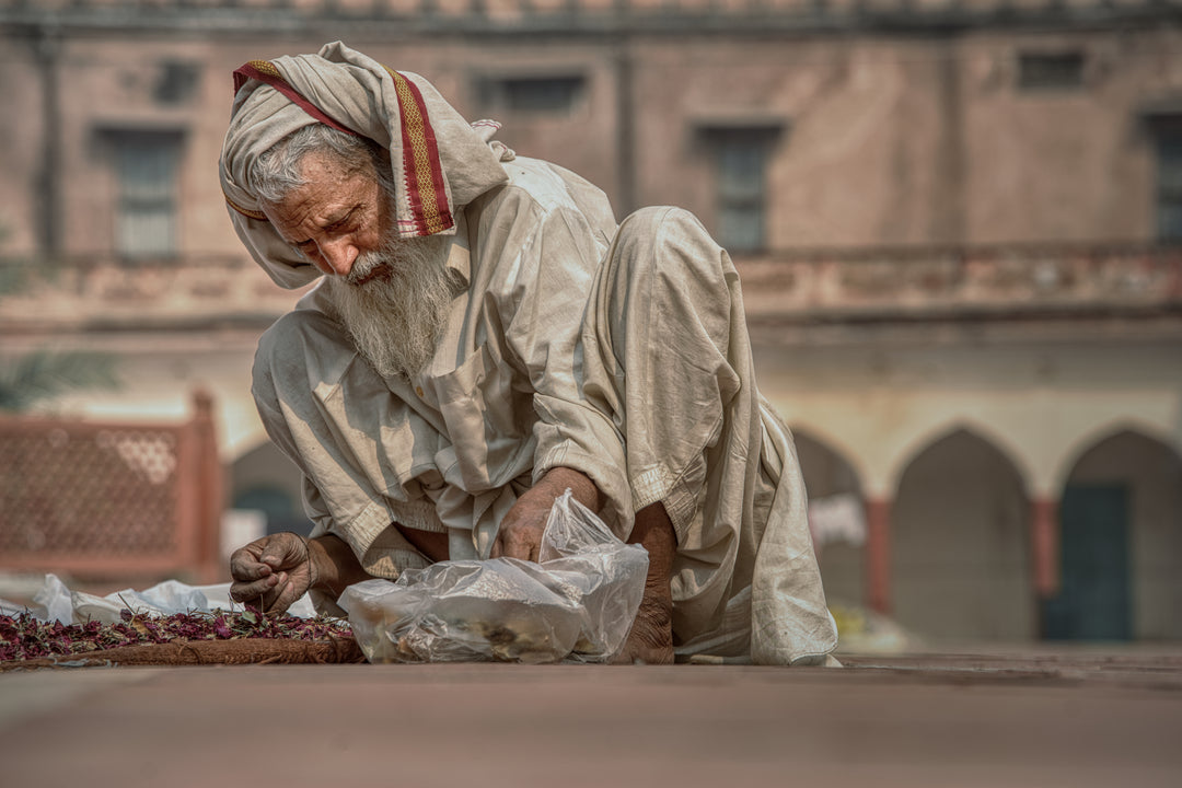 India Photography Tour 2027 - w/Glynn Lavender &amp; Cam Blake - March 12th to 26th - 2027 - SOLD OUT!!!