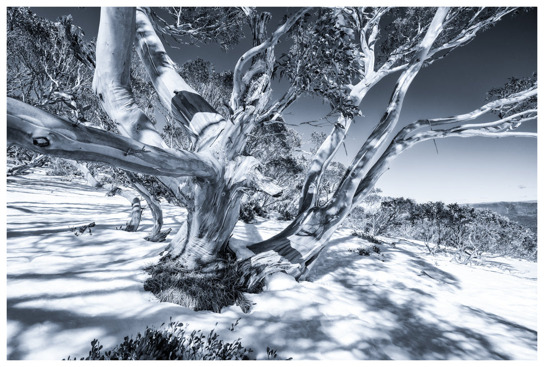 Winter High Country Photo Tour - 9-14th August 2027 - SOLD OUT!!!