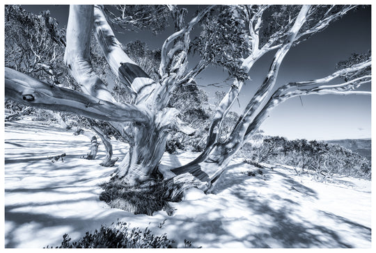 Winter High Country Photo Tour - 9-14th August 2027 - SOLD OUT!!!