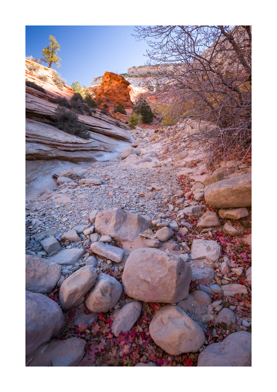 Zion National Park & UTAH, USA - Photography Workshop - November 7th to 17th - 2025 - 1 PLACE LEFT!!