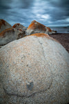Flinders Island Photography Workshop - 10 tot 14 juni - 2024 - 3 plaatsen beschikbaar