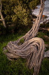 Flinders Island Photography Workshop - 10 tot 14 juni - 2024 - 3 plaatsen beschikbaar