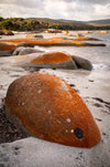 Flinders Island Photography Workshop - July 21st to 25th - 2025 - 6 Places Available