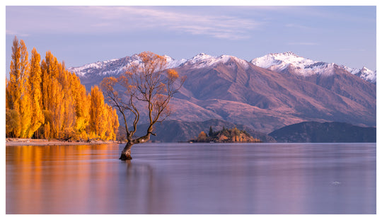 Colours of New Zealand Tour - April 19th to 25th - 2027 - SOLD OUT!!!