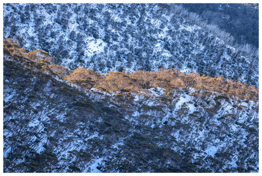 Winter High Country Photo Tour - 17-21st August 2027 - Only 1 Spot Left!!!!