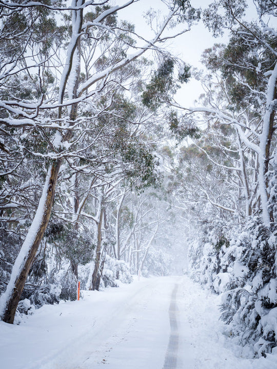 Cradle Mt Winter Photography Workshop - August 10th to 14th - 2026 - 6 Places Available