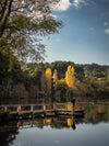 Daylesford Autumn PhotoDay - May 11th - 2024 - 6 Places Available
