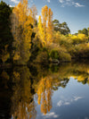 Daylesford Autumn PhotoDay - May 12th - 2024 - 8 Places Available