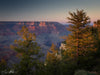 Zion National Park & UTAH, USA - Photography Workshop - November 7th to 17th - 2024 - SOLD OUT!!