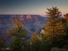 Zion National Park &amp; ​​UTAH, VS - Fotografieworkshop - 7 tot 17 november - 2024 - UITVERKOCHT!!