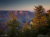 Zion National Park &amp; ​​UTAH, VS - Fotografieworkshop - 24 oktober tot 3 november - 2024 - 10 nachten / 11 dagen