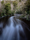 Flows of the Tarkine