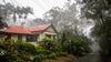 OM Day - Springbrook NP QLD - August 17th - 2024