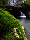 OM Day - Springbrook NP QLD - August 18th - 2024