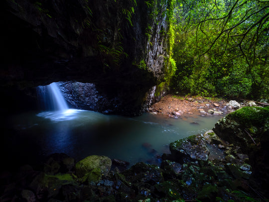 OM Day - Springbrook NP QLD - August 18th - 2024