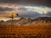 Sunburnt Country