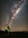 Grass and Stars