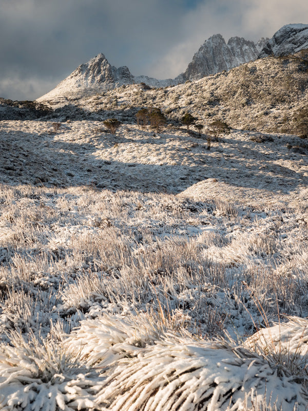 Cradle Mt Winter Photography Workshop - August 10th to 14th - 2026 - 6 Places Available