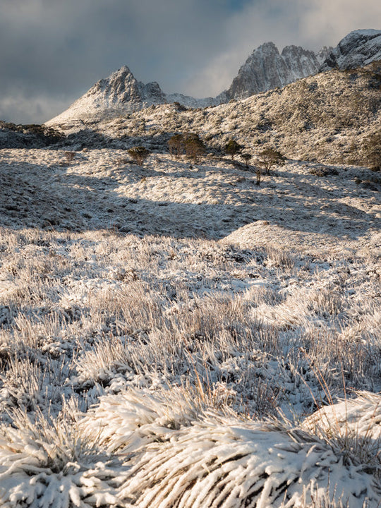 Cradle Mt Winter Photography Workshop - August 10th to 14th - 2026 - 6 Places Available