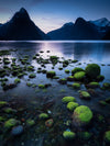 New Zealand PhotoTour - April 20th to 28th - 2026 - 6 Places Available