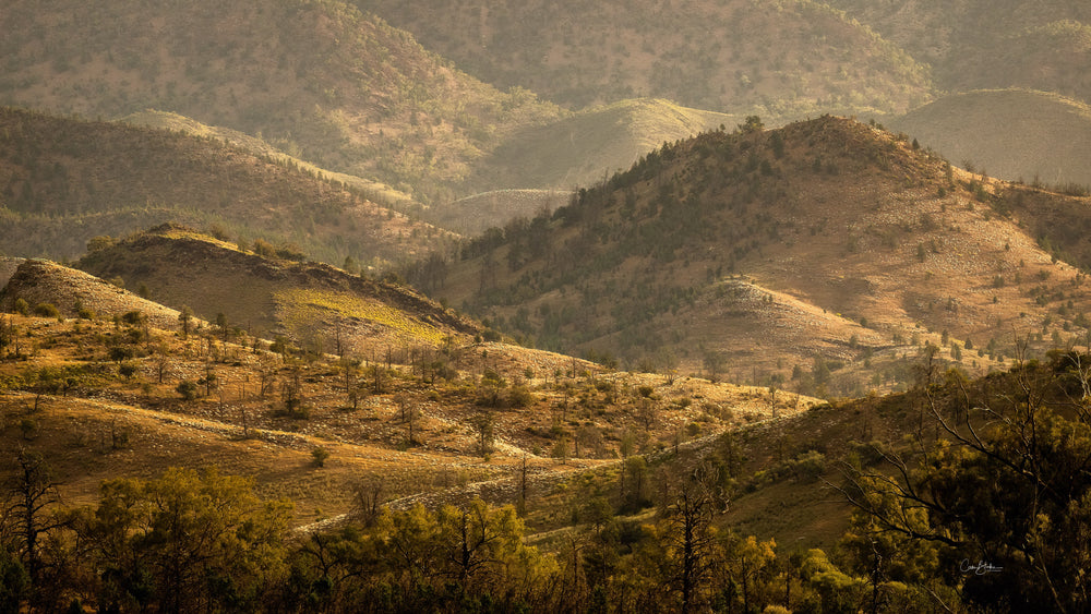 Ikara - Flinders Ranges & Surrounds - June 12th to 17th - 2025 - SOLD OUT!!!