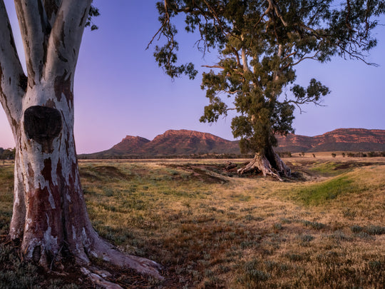 Ikara - Flinders Ranges &amp; Surrounds - 28 augustus tot 2 september - 2024 - PRIJSVERLAGING!!! 