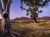 Ikara - Flinders Ranges &amp; Surrounds - 28 augustus tot 2 september - 2024 - PRIJSVERLAGING!!! 