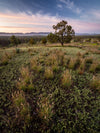 Ikara - Flinders Ranges &amp; Surrounds - 28 augustus tot 2 september - 2024 - PRIJSVERLAGING!!! 