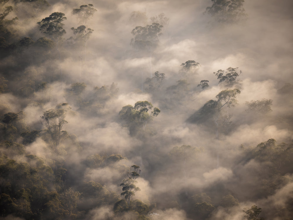 BFOP - PRE-GAME WARM UP - Mini sessions/Stretch those trigger fingers - Spots filling!