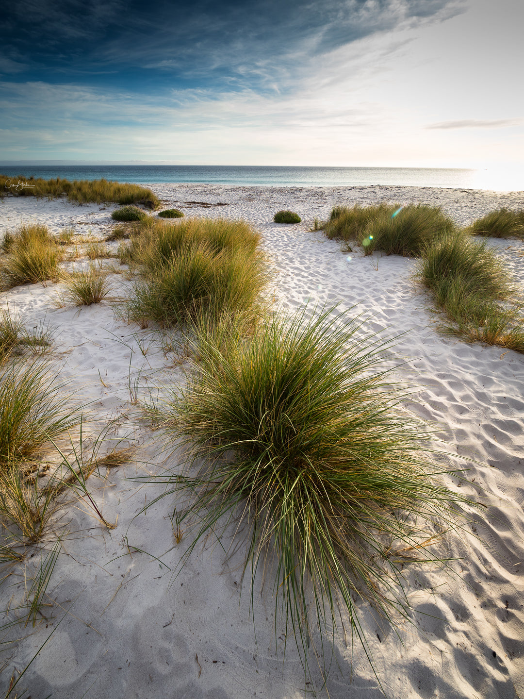 Tasmania: Magical Photography Tour - September 11th to 18th - 2027 - 6 PLACES AVAILABLE