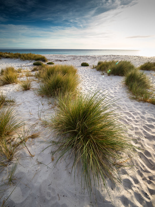 Tasmania: Magical Photography Tour - September 11th to 18th - 2027 - 6 PLACES AVAILABLE