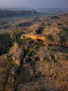 Kakadu National Park Fototour - 1 tot 5 december 2024 - slechts 6 plaatsen!!! 