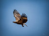 Kakadu National Park Photo Tour - December 1st to 5th 2025 - 6 Places Available