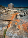 Flinders Island Photography Workshop - 10 tot 14 juni - 2024 - 3 plaatsen beschikbaar