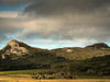 Flinders Island Photography Workshop - 10 tot 14 juni - 2024 - 3 plaatsen beschikbaar