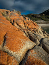 Flinders Island Photography Workshop - 10 tot 14 juni - 2024 - 3 plaatsen beschikbaar
