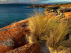 Flinders Island Photography Workshop - 10 tot 14 juni - 2024 - 3 plaatsen beschikbaar