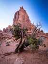 Arches National Park - 1