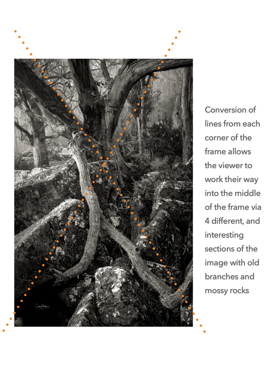 Landscape Photography - Composition, Make Your Photos Happen - FREE