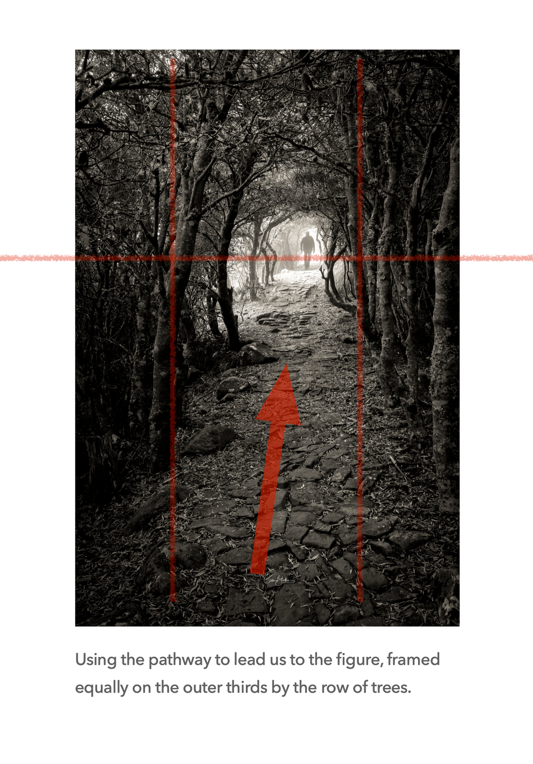 Landscape Photography e-Book - FREE