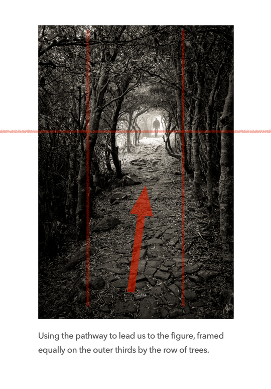 Landscape Photography e-Book - FREE