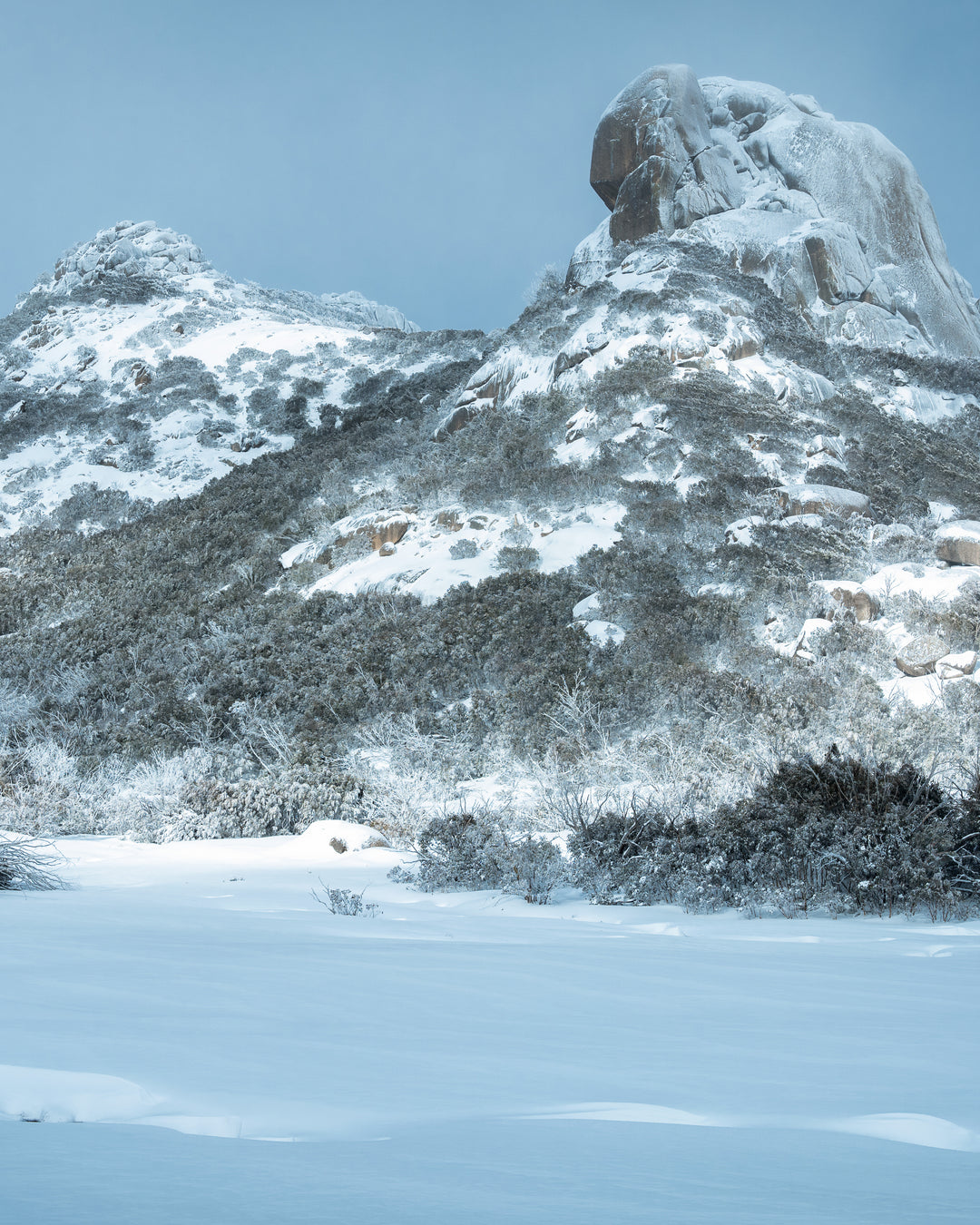 Winter High Country Photo Tour - 17-21st August 2027 - Only 1 Spot Left!!!!