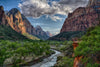 Zion National Park & UTAH, USA - Photography Workshop - October 24th to November 3rd - 2024 - 10 Nights / 11 Days - SOLD OUT!!!