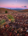 Ikara - Flinders Ranges &amp; Surrounds - 28 augustus tot 2 september - 2024 - PRIJSVERLAGING!!! 