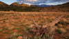 Ikara - Flinders Ranges &amp; Surrounds Photography Workshop - 5 tot 10 juli - 2024 - UITVERKOCHT!! 