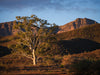 Ikara - Flinders Ranges &amp; Surrounds - 28 augustus tot 2 september - 2024 - PRIJSVERLAGING!!! 