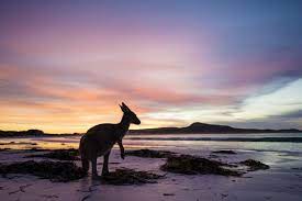 Great Ocean Road Photography Workshop - 26 tot 30 mei - 2024 - 4 plaatsen vrij!!! 